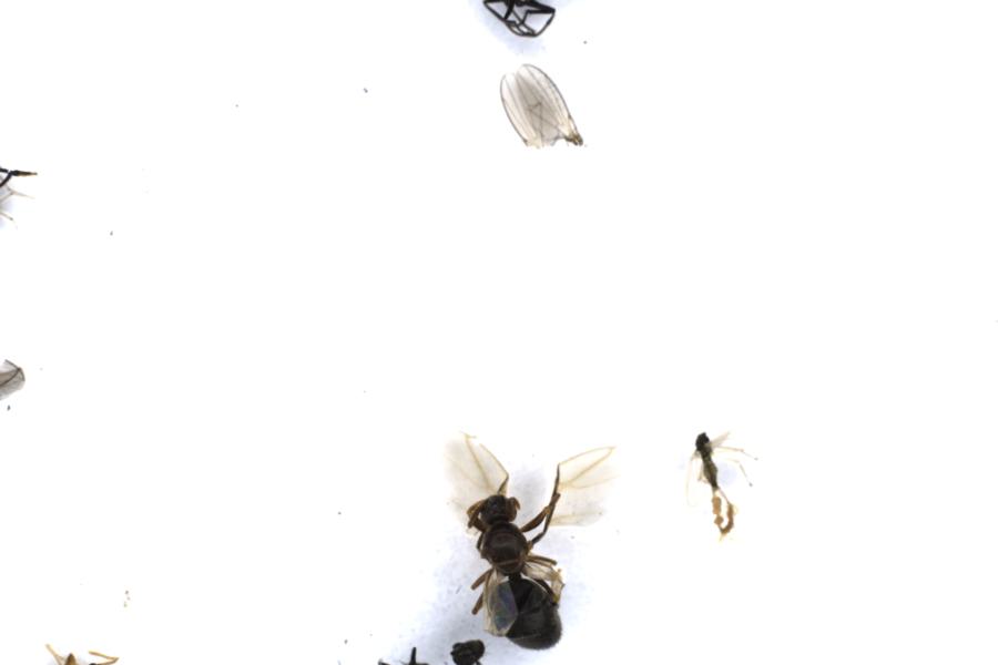 Image 69